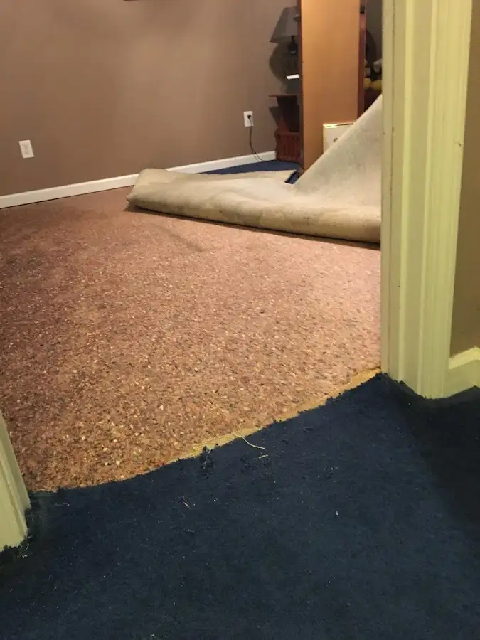 Carpet pad removal revealing water damage during Water Mitigation Services in Blue Springs