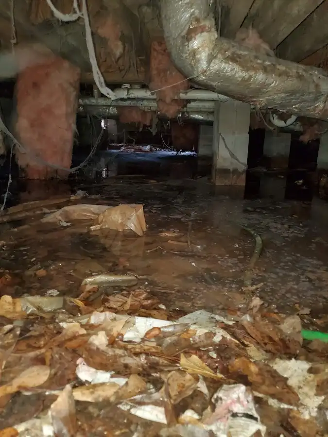 Crawl space flood assessment for Commercial Water Damage Restoration in Blue Springs