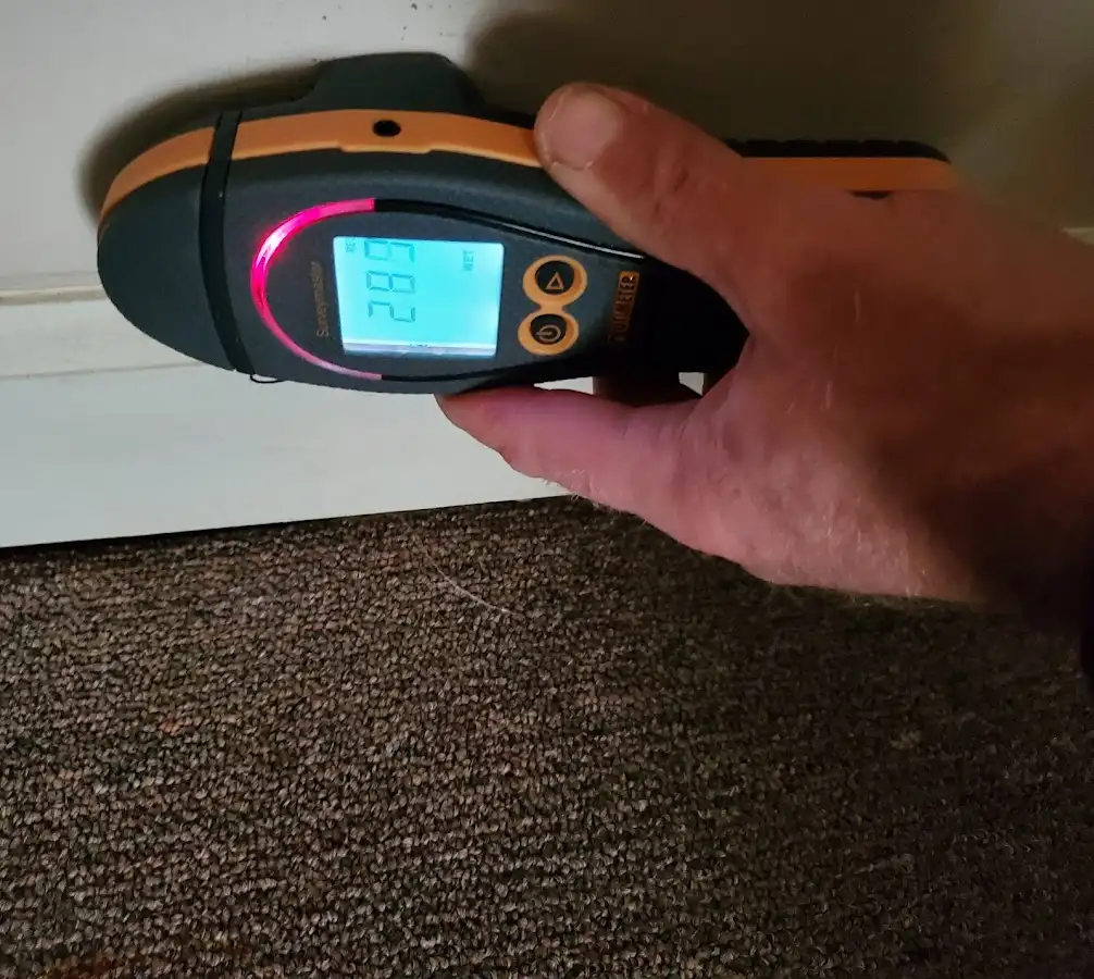 Moisture detection at baseboard during Sewage Cleanup & Sanitation in Blue Springs